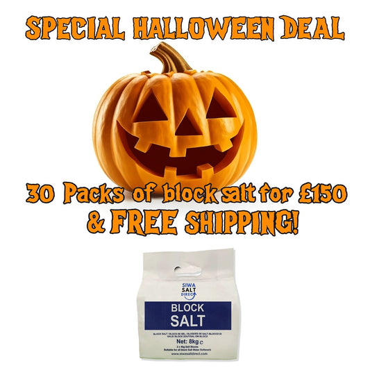 Halloween special - 30 Packs of Block Salt with Free Shipping